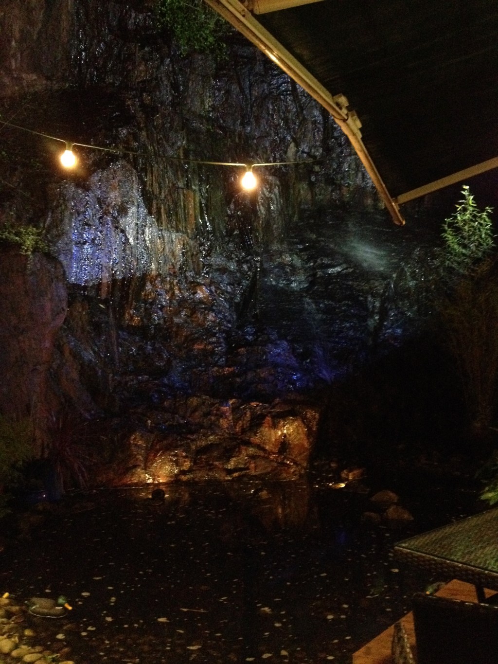 Camille_Saint-Jacques_72