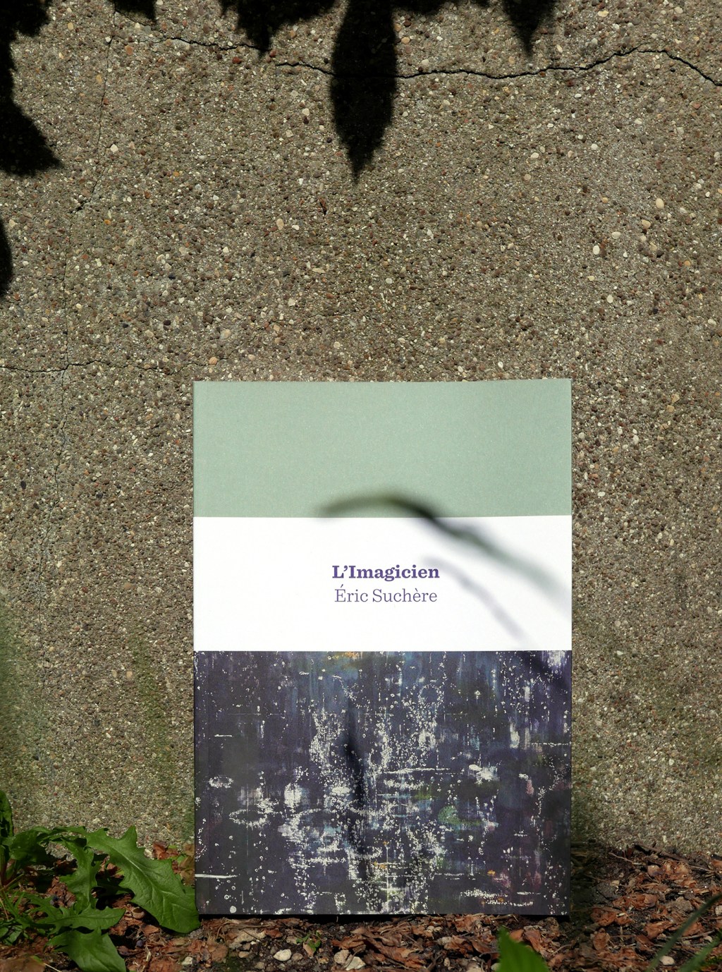 CSJ-Limagicien_fev2014