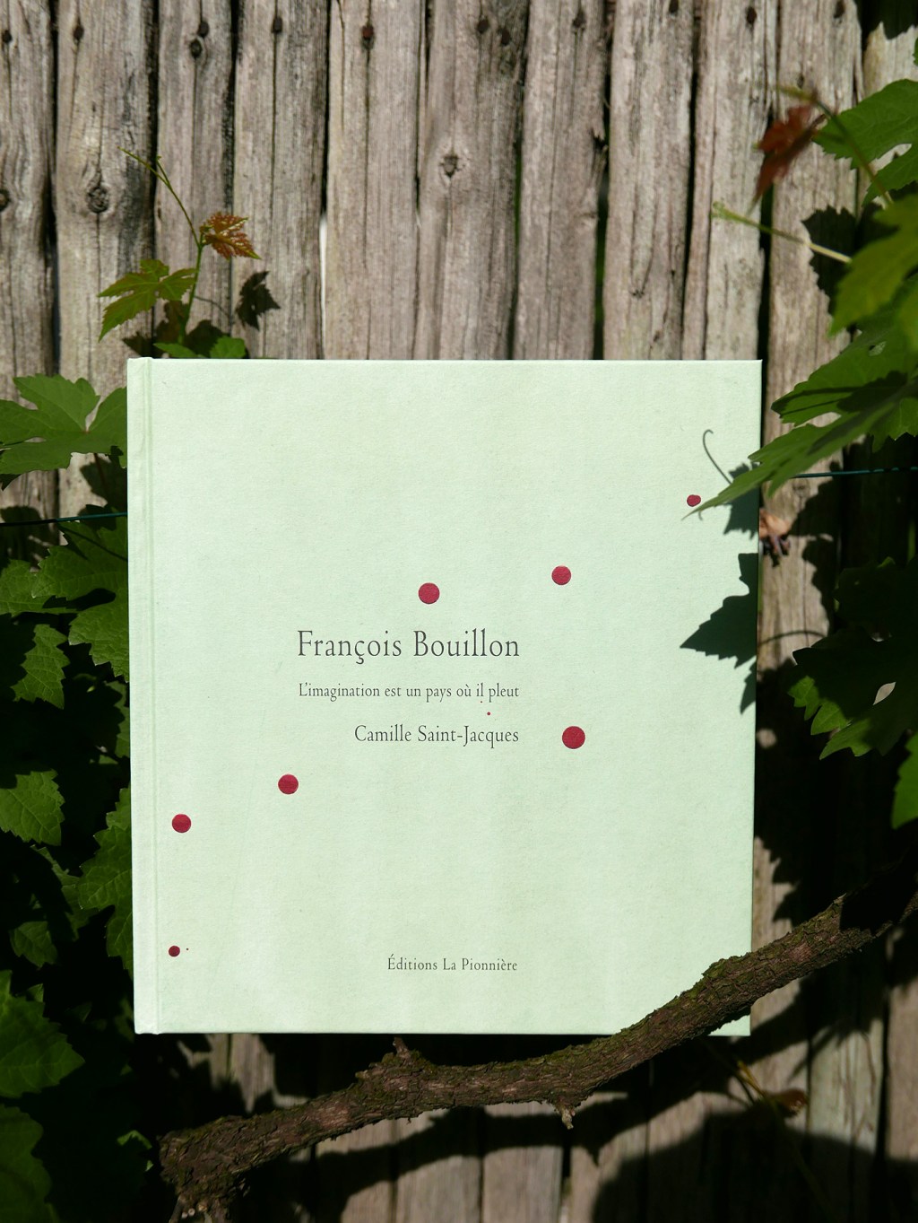 CSJ-Limagination_est_un_pays_ou_il_pleut_2014