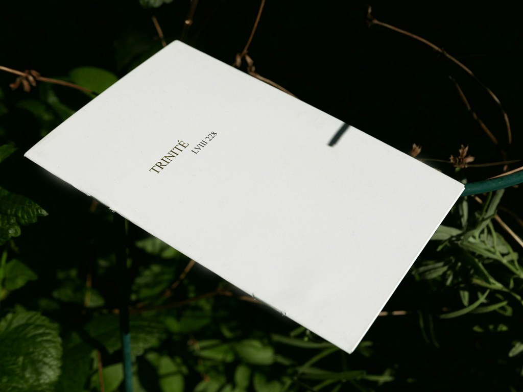 CSJ-Trinite_LVIII228