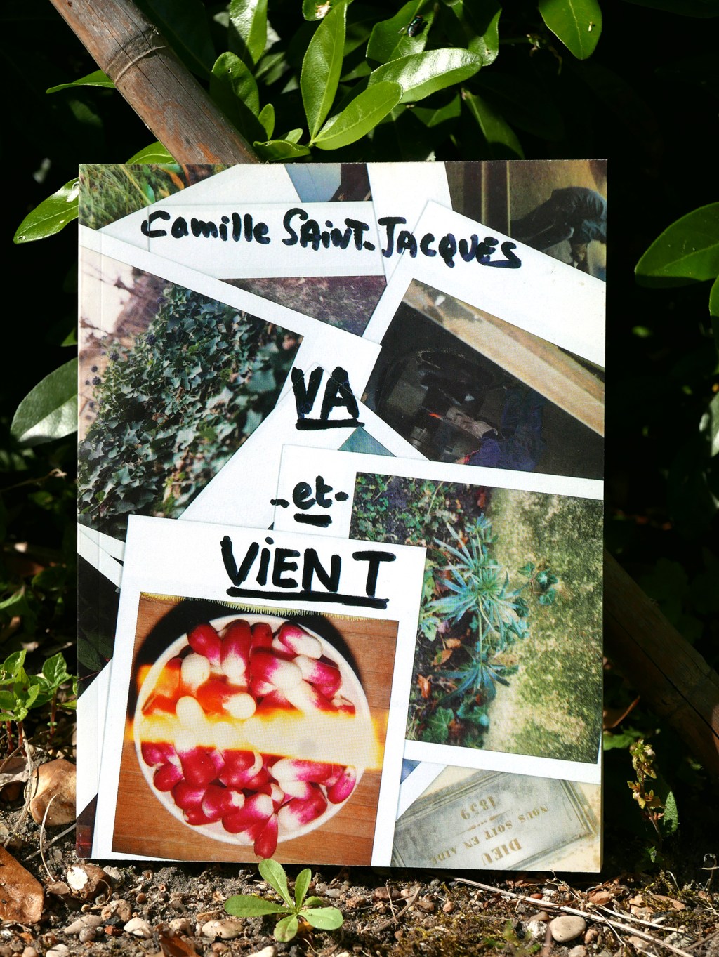 CSJ-Va_et_vient_2007