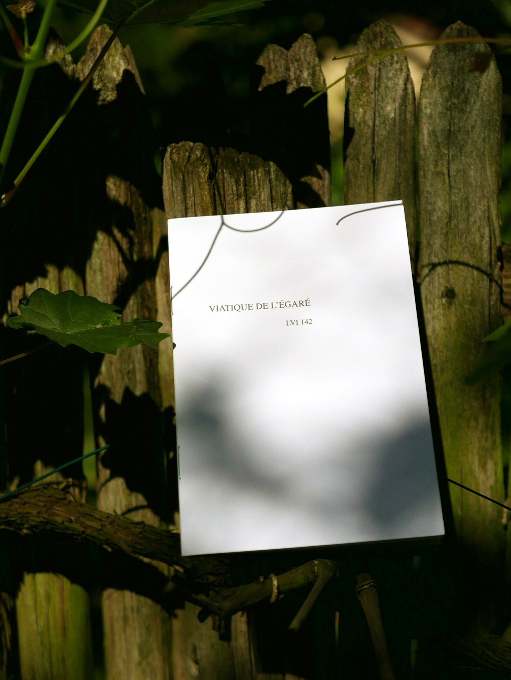 CSJ-Viatique_de_legare_LVI142_2013